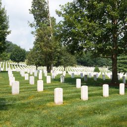 Servizi Cimiteriali