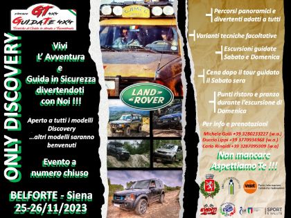 Only Discovery Land Rover 