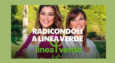 NEWS_Linea_verde