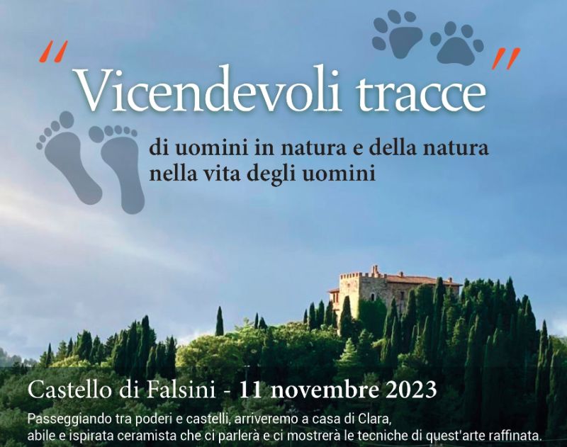 Camminata 11 novembre