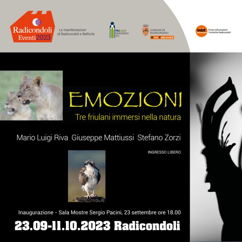 Emozioni 2023