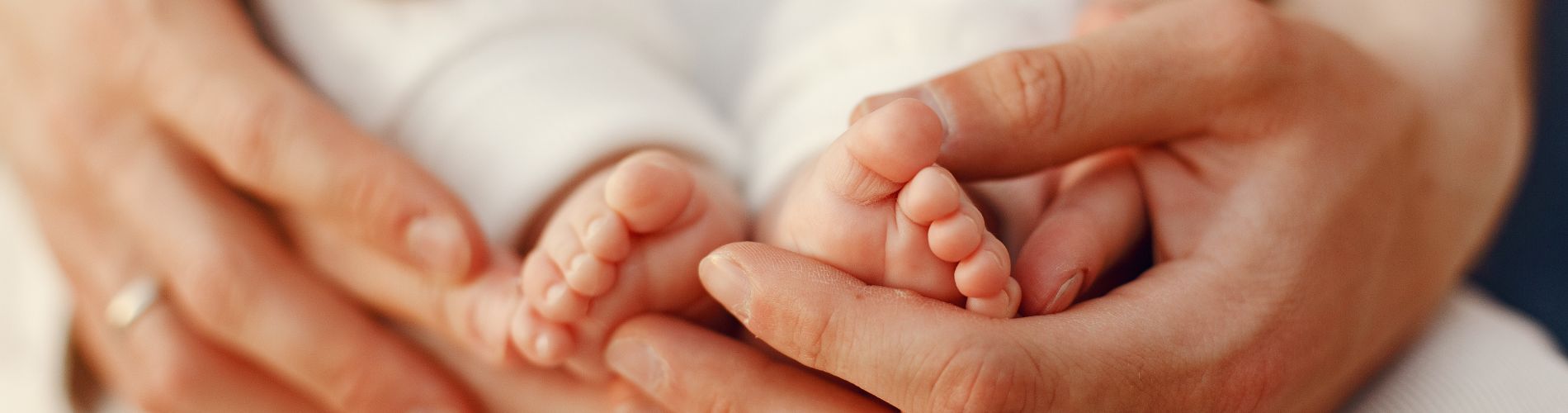 Servizi Demografici