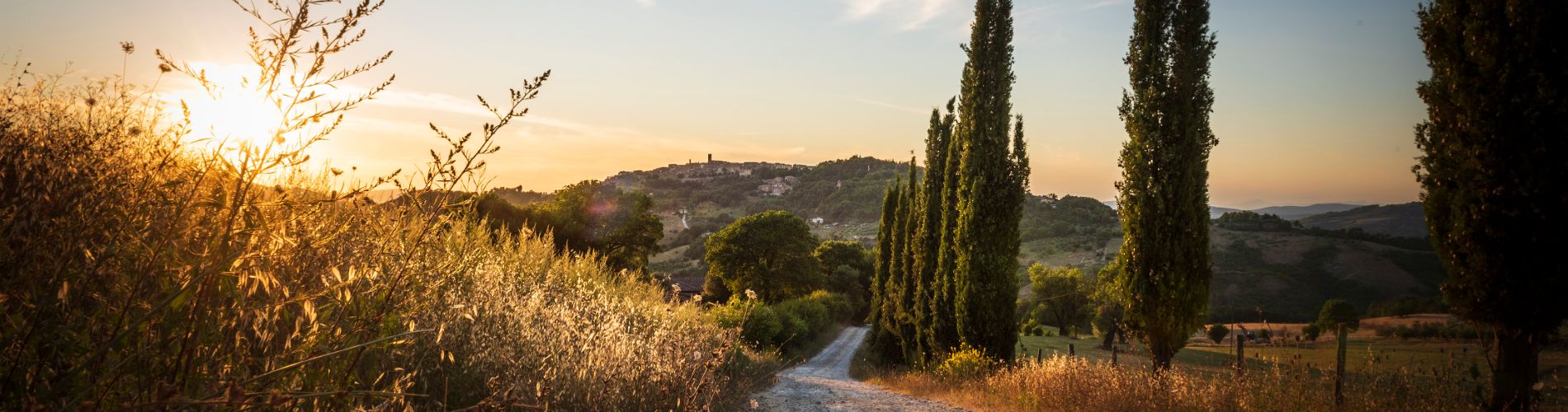 Il territorio