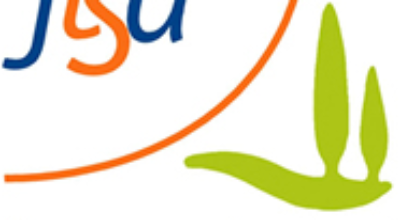 Logo FTSA