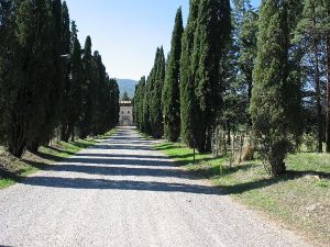 Riserva Naturale Statale Palazzo